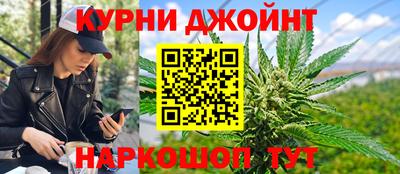 шишки Изобильный