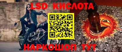 шишки Изобильный