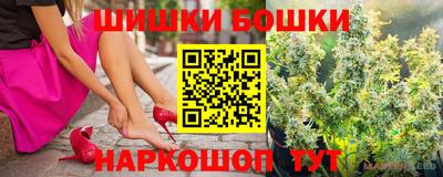 шишки Изобильный