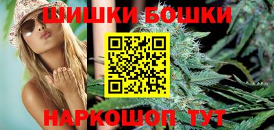 шишки Изобильный