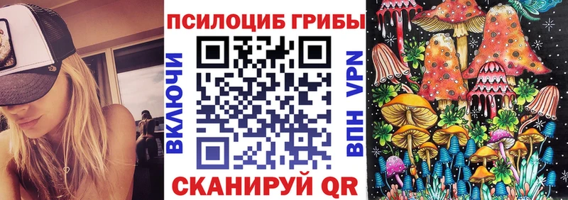 darknet телеграм  Ногинск  Псилоцибиновые грибы Psilocybe  хочу  