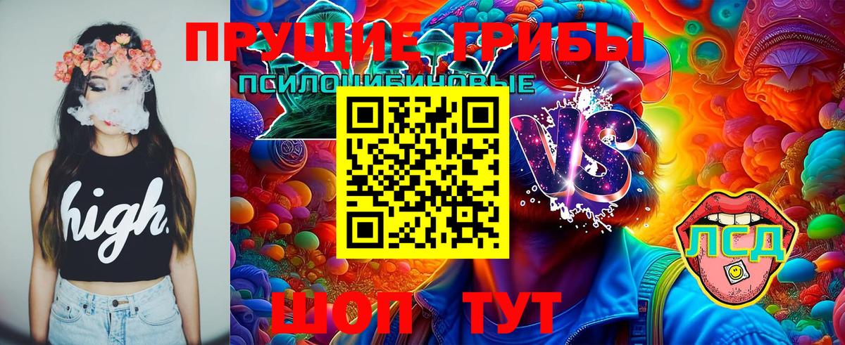 Псилоцибиновые грибы Psilocybine cubensis Ногинск